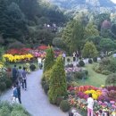 2025-11/04(화)국내최고의 단풍지 아침고요수목원-낭만의섬 남이섬 힐링여행 이미지