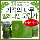 (주)천년넷 이미지