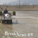 단평1리 이미지