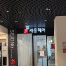 세종헤어 익산점 | 익산 이마트 세종헤어 "승연 디자이너" 여성머리 클리닉 후기 ✨