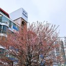 제일아트빌라 이미지