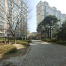 수레실약국 이미지