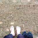 승학산 둘레길 | 1.맨발걷기시작날_1일차 승학산 둘레길로 가다(23.6.23)
