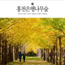 제42주차 정기산행공지(46년만에 개방된 설악산 만경대코스) 이미지