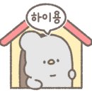 댕냥테라피 이미지