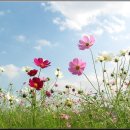 푸르른날 이미지