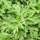 아라리축산 이미지