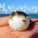 지호민박 이미지