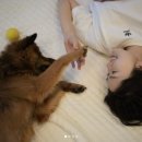 만세농장 이미지