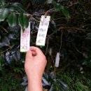 송당송당 이미지