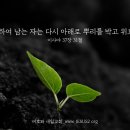 새일교회 인간의 종말 | 은혜 시대의 역사 이미지