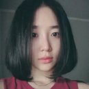 이유주 카카오 검색결과