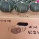 은수네농장 이미지