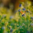 장석근서울한의원 이미지