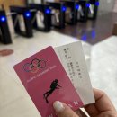 만타 | 서울 스쿠버다이빙 체험 입문자 추천 만타크루 후기