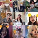 정명진농장 이미지