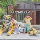 우치공원 | [광주 여행] 세 아이랑 함께한 광주 우치공원 동물원 재방문 후기