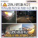 털보카자동차공업사 | 고라니 로드킬 사고 자차보험 처리 및 차량(아반떼 MD) 수리 후기