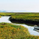 사계절 흑염소 농장 이미지