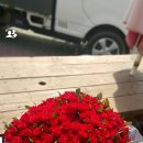 선영이꽃집
