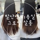 성원 쌍떼뷰 | 서울 발산역 근처 미용실 그로잉 살롱 클리닉 후기