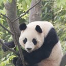 삼성물산㈜에버랜드리조트 이미지