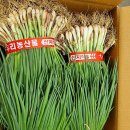 블랙야채