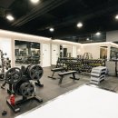 오브 휘트니스 이미지