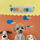 두리베어 이미지