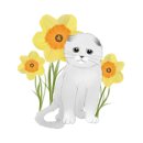 고향삼계탕 이미지