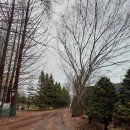 파주파인밸리 이미지