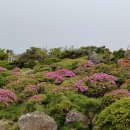영실기암과 오백나한 | 5월 한라산 영실 : 자연이 만든 철쭉 정원