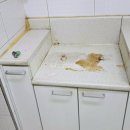 금성약품(주) | 서울 입주청소 전문업체 청미사 만족도, 비용, 추가금 솔직후기