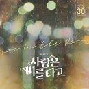 사랑은 비를 타고 이미지