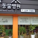 김앤강동물병원