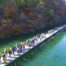 화천산소길 이미지