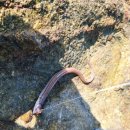 해피원수산 이미지