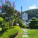 하얀둥지도브펜션 이미지