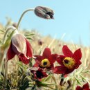 한재공원 이미지