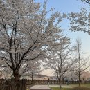 청와옥 명인설렁탕 이미지