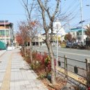 전주동북초등학교