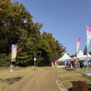 Dog# | 2025 천안 K-DOG 페스티벌 다녀온 후기, 천안 시민 체육공원