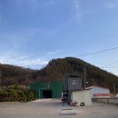 맛질송어회 이미지