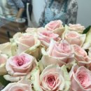 보태니컬아트(색연필그림) 이미지