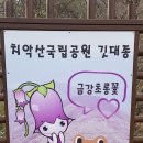 횡성 원주 치악산과구룡사 이미지