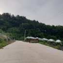 안동목장 이미지