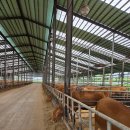 수월한우농장 이미지