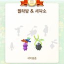 보라세탁소 이미지