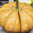 맷돌호박 씨 이미지