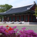 안동군청자리에//주산지봄 이미지